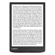 Vivlio InkPad 4 black/grey